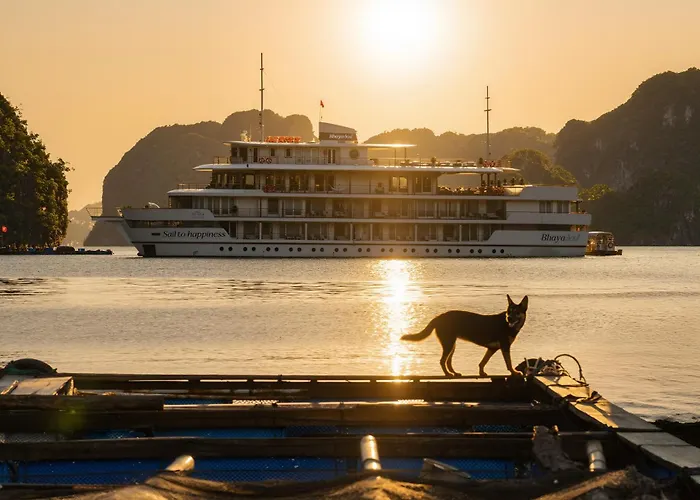  Bhaya Soul - Wellness Inclusive Cruise